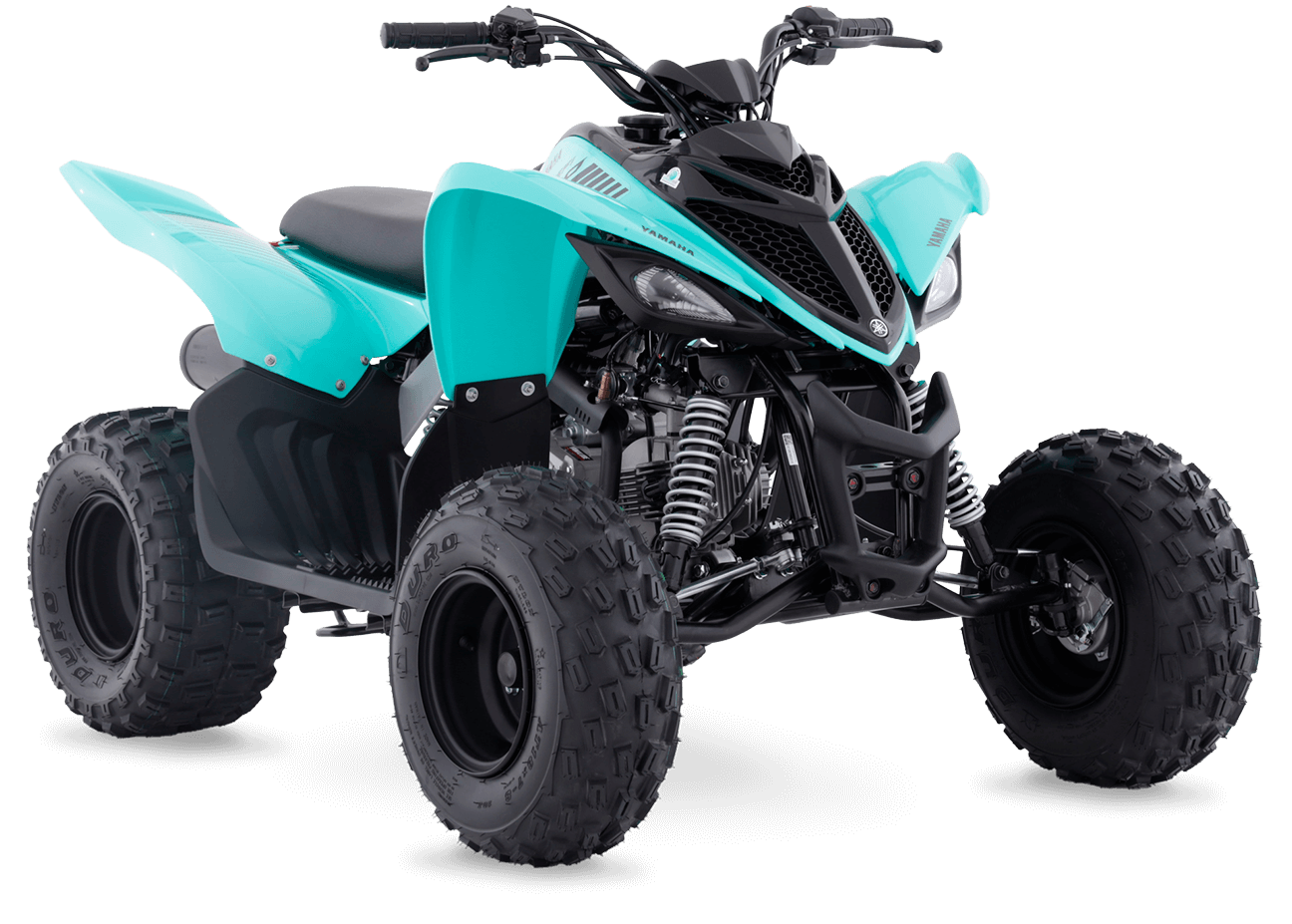 Yamaha Raptor 110